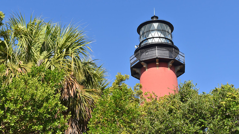 birdwatching season Jupiter FL Birdwatching Season Jupiter FL