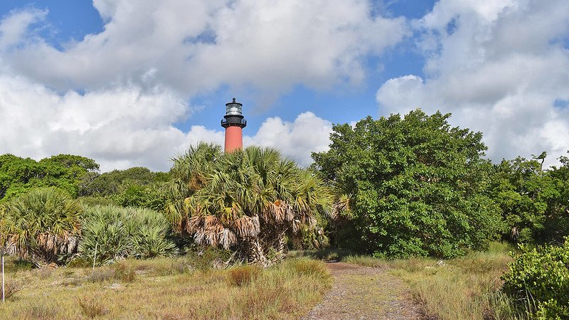migratory birds Jupiter FL Migratory Birds in Jupiter FL: Seasonal Spotting Tips