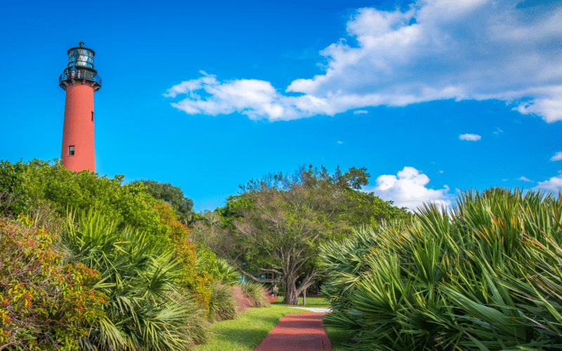 bird photo checklist Jupiter FL Bird Photo Checklist for Jupiter FL Birdwatchers