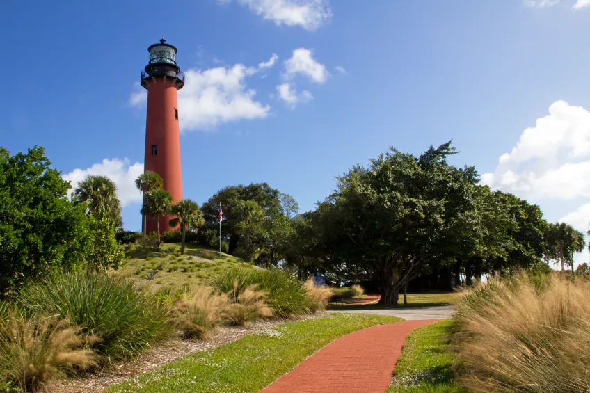 protecting birds in Jupiter FL Protecting Birds in Jupiter FL: Conservation Tips