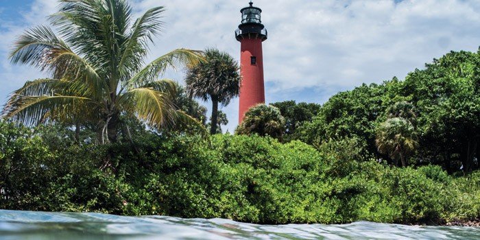 History of Birdwatching in Jupiter FL: From Past to Present