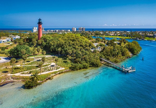 Fall Bird Migration in Jupiter FL: Observation Guide