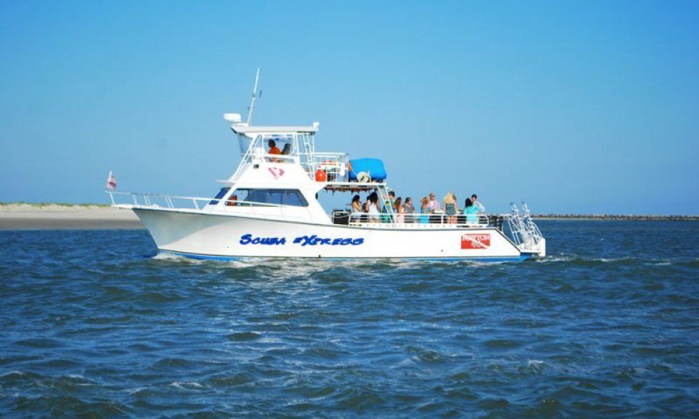 best wildlife viewing locations in Florida Best Wildlife Viewing Locations in Florida: Top Parks & Waterways