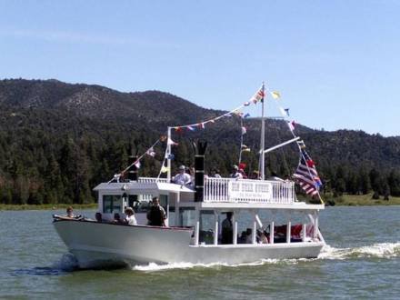 learning about marine conservation organizations Learning About Marine Conservation Organizations: How to Get Involved