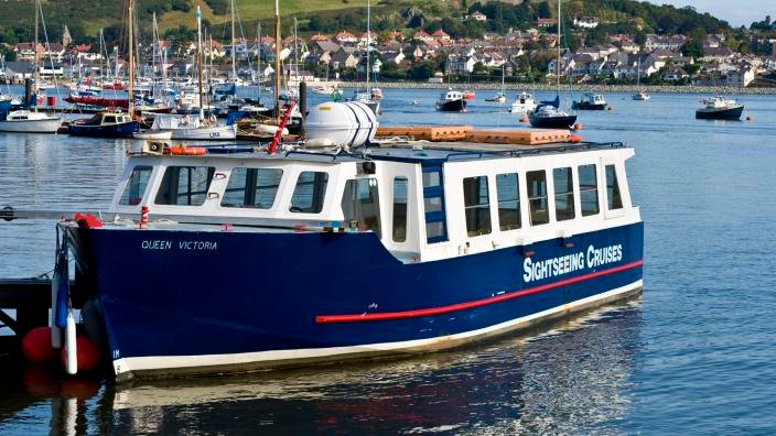 safe boating around marine wildlife Safe Boating Around Marine Wildlife: Rules for Protecting Animals
